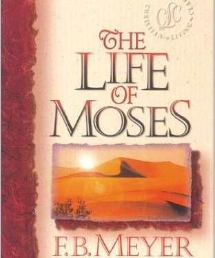 Books on My&nbsp;Shelf