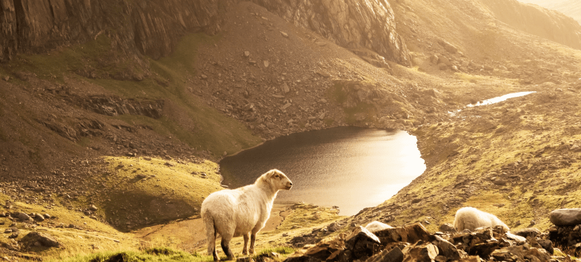 A Morning Reflection