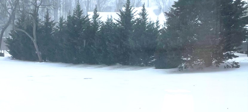 Happy New Year&nbsp;2026!